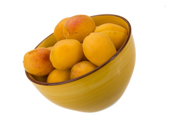 Yellow bright apricot