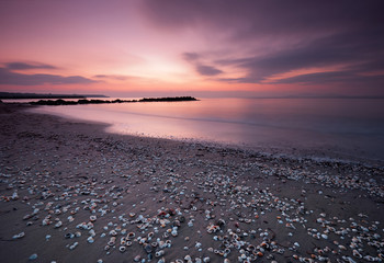 beautiful sunrise on the beach, covered with sea shells