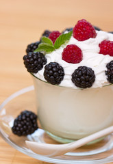 Fototapeta na wymiar Frozen yogurt with berries