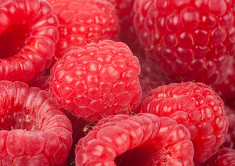 raspberry. food background