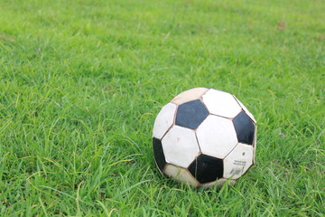 Fototapeta premium dirty Football on the Lawn field