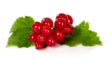 Currant with leaves, food concept