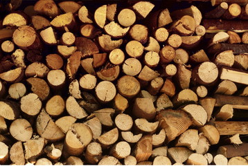 fire wood round pieces
