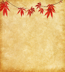 Old paper with branch of red autumn leaves.