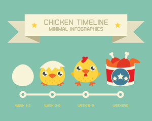 Chicken Timeline