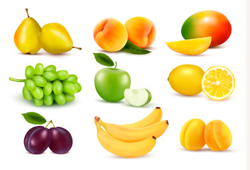 Big group of different fruit. Vector.