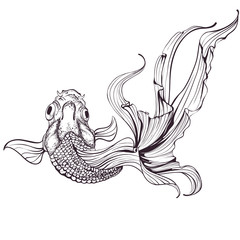 Goldfish sketch on white background