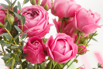 pink roses