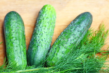 bunch fresh dill and cucumbers on wooden table