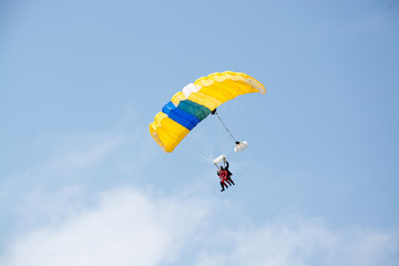Paraglider