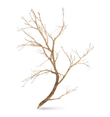 Pencil tree shaped on white background