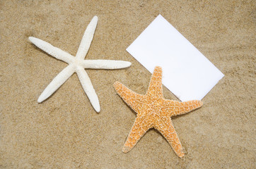Starfishes and paper on the beach