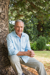 Obraz premium Happy mature man sitting on tree trunk