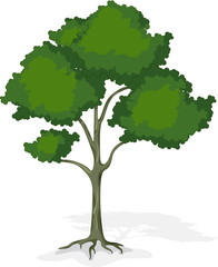 Vector cartoon tree