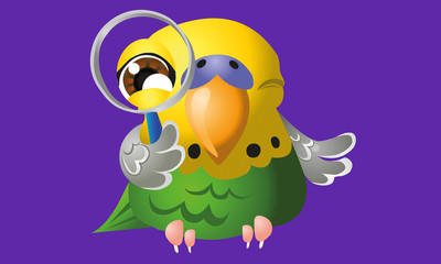 Green budgerigar with magnifying glass