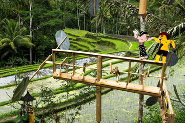 Weathervane in Balinese rice fields
