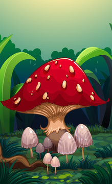 A big red mushroom