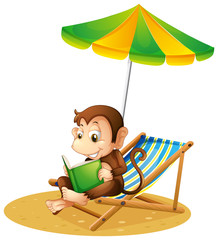 A monkey reading a book at the beach
