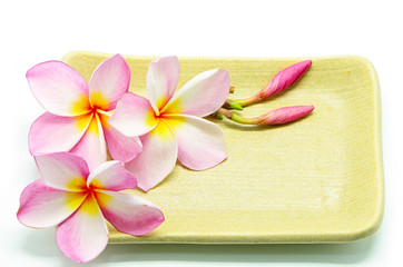 Plumeria