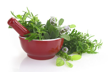 Red porcelain mortar and pestle with fresh herbs