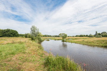 Fototapeta na wymiar Summer landscape with a streaming river