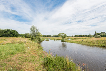 Fototapeta premium Summer landscape with a streaming river