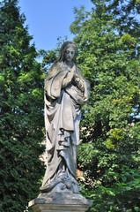 Fototapeta premium Old statue in Lychakiv Cemetery in Lviv, Ukraine