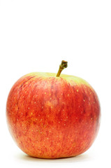 Red apple on white background