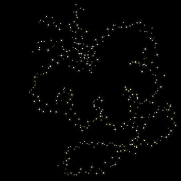 Constellation of flower