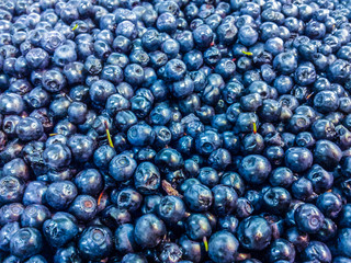 Blueberry