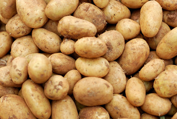 Potatoes, raw vegetables food