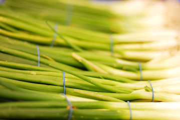 Spring onions