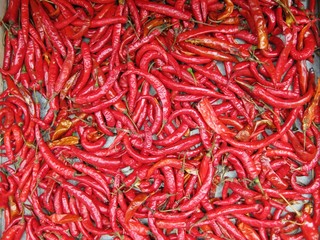 Fototapeta premium chili pepper background at market stock, photo, photograph, picture, image