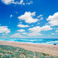 clouds over the shore