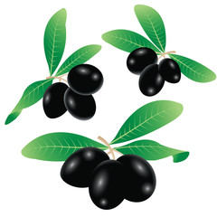 Black olives