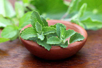 Stevia with other medicinal herbs © Swapan