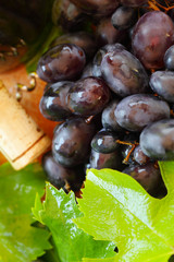 Red grape and leaf - macro, blurred wine background