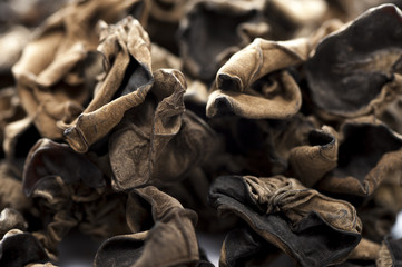 乾燥した木クラゲのクローズアップ