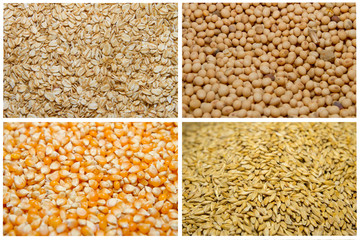 Collage from fresh fruit and vegetables