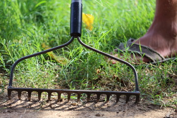 Bow Rake