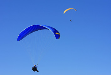 paragliders
