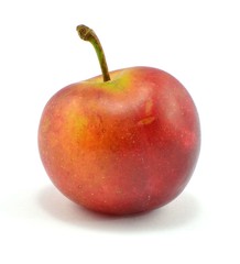 plum