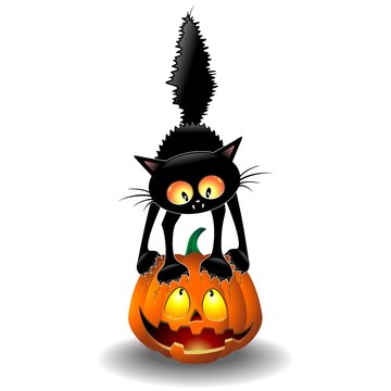 Scared Halloween Cat Cartoon scratching a Pumpkin
