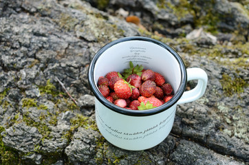 Wild strawberry in metal cup