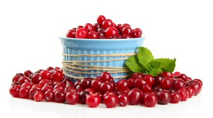 Ripe red cranberries in bowl, isolated on white.