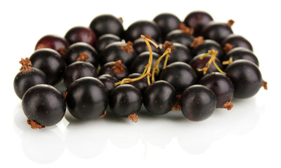 Fresh black currant isolated on white