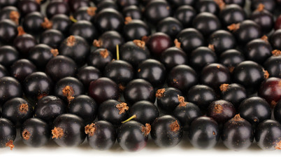 Fresh black currant isolated on white