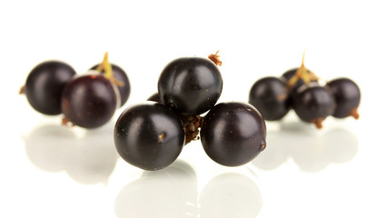 Fresh black currant isolated on white