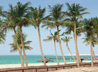 Fototapeta premium Palm beach