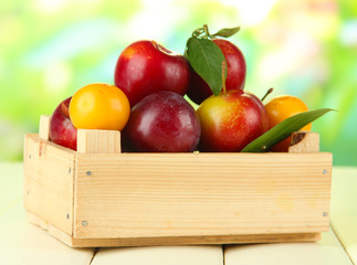 Ripe plums in box on wooden table on natural background
